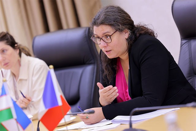 Uzbekistan and the French Development Agency discussed promising projects in energy, water supply and infrastructure